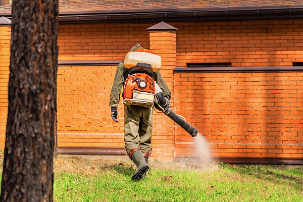 Bed Bug Clearance Verification and Documentation in Walkertown